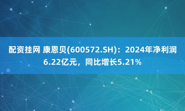 配资挂网 康恩贝(600572.SH)：2024年净利润6.22亿元，同比增长5.21%